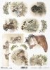 dog heads, holly, cat, cats, cat heads, kitten, cat games, Christmas decorations, mistletoe, old shoe, Tiere, Hund, Hundeköpfe, Katze, Katzen, Katzenköpfe, Katzenspiele, Weihnachtsschmuck, Stechpalme, Mistelzweig, alter Schuh